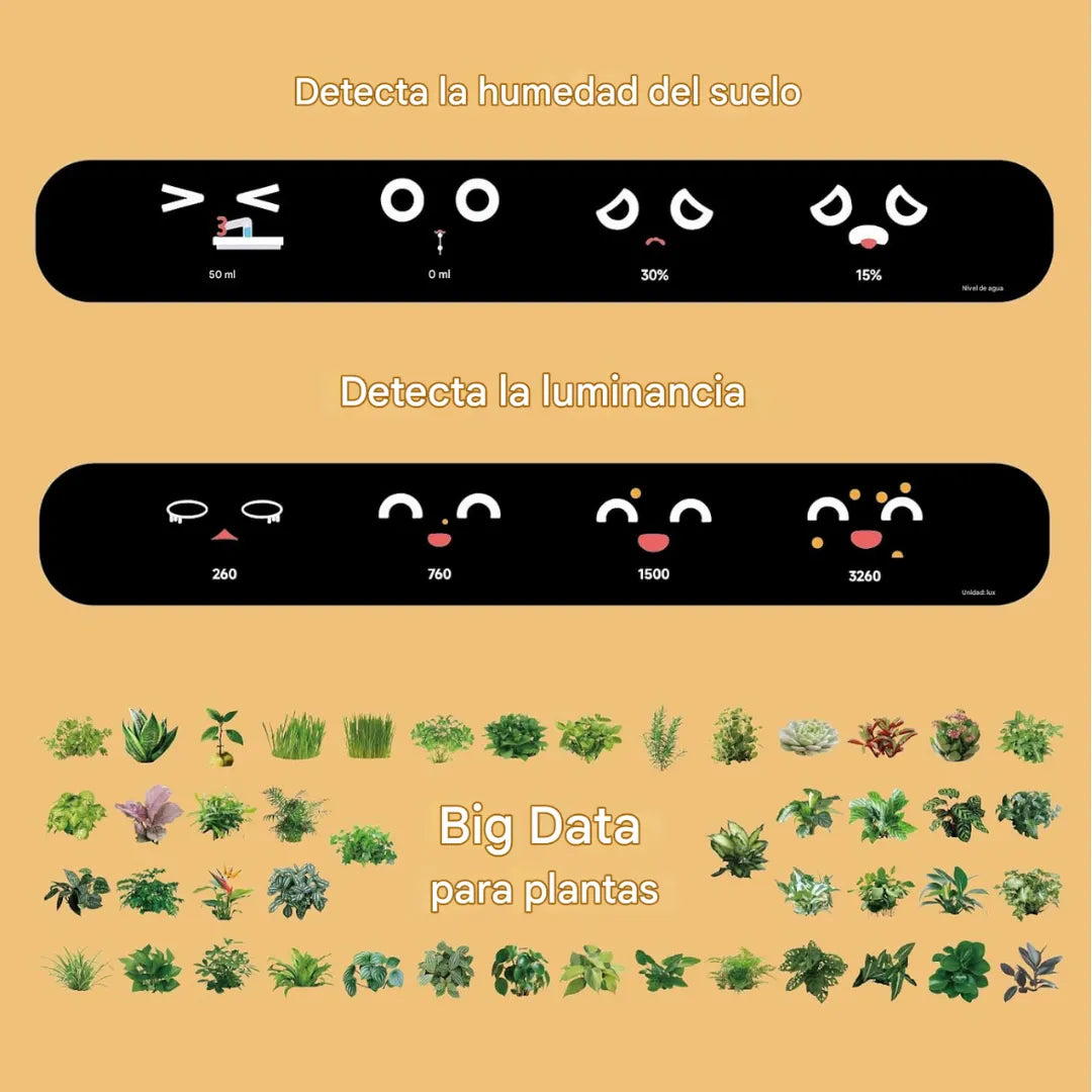 Maceta inteligente: Cuida al máximo tus platas