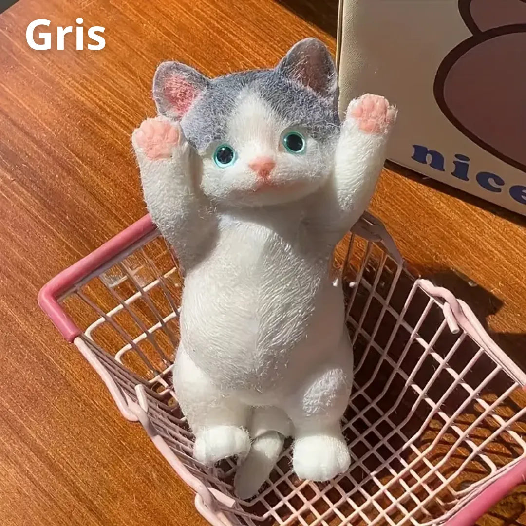 Gatito Anti estrés - Cat Lovers 😻