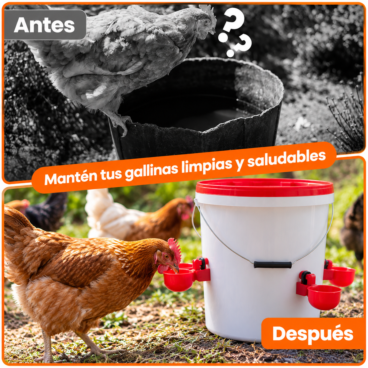 Kit de Bebederos x5 - Sistema  de Relleno Automático