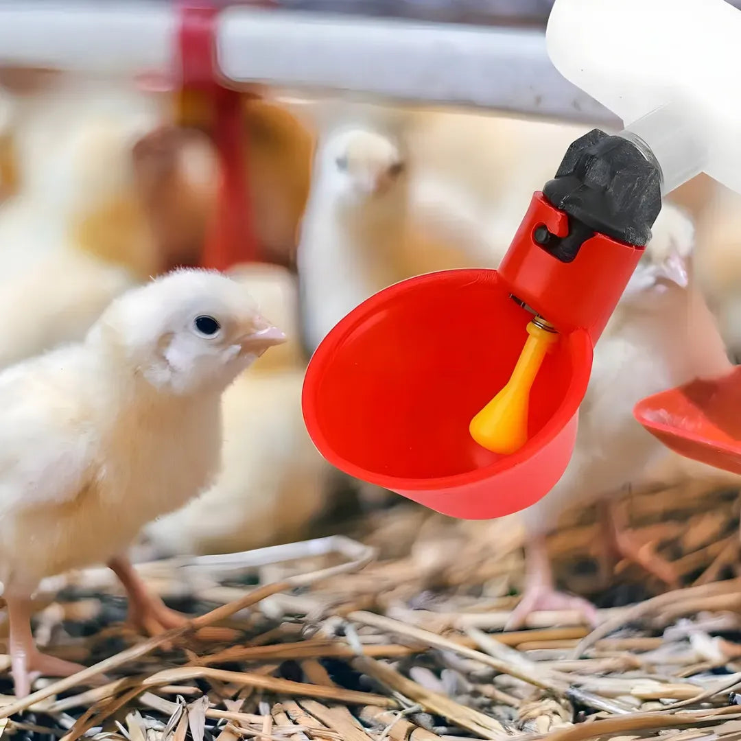 Agua Siempre Lista: Bebedero con niple para Aves