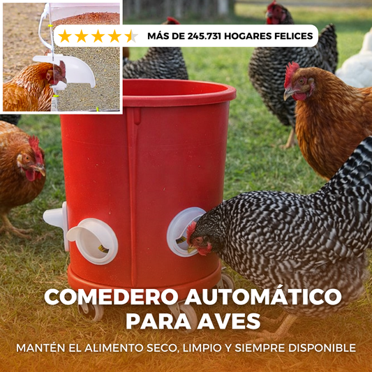 Comedero AutoFeed Anti-Desperdicio Para Aves de Corral