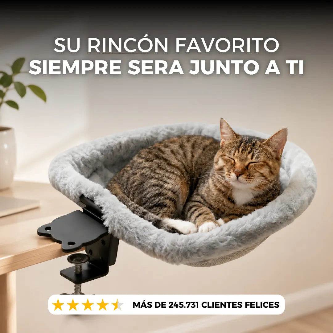 CAMA PORTATIL PARA GATITOS: SU LUGAR FAVORITO ESTÁ JUNTO A TI