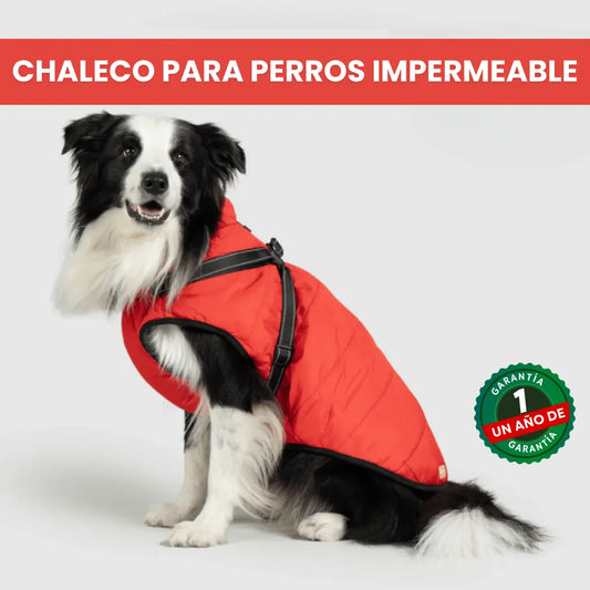 CHALECO PARA PERROS IMPERMEABLE