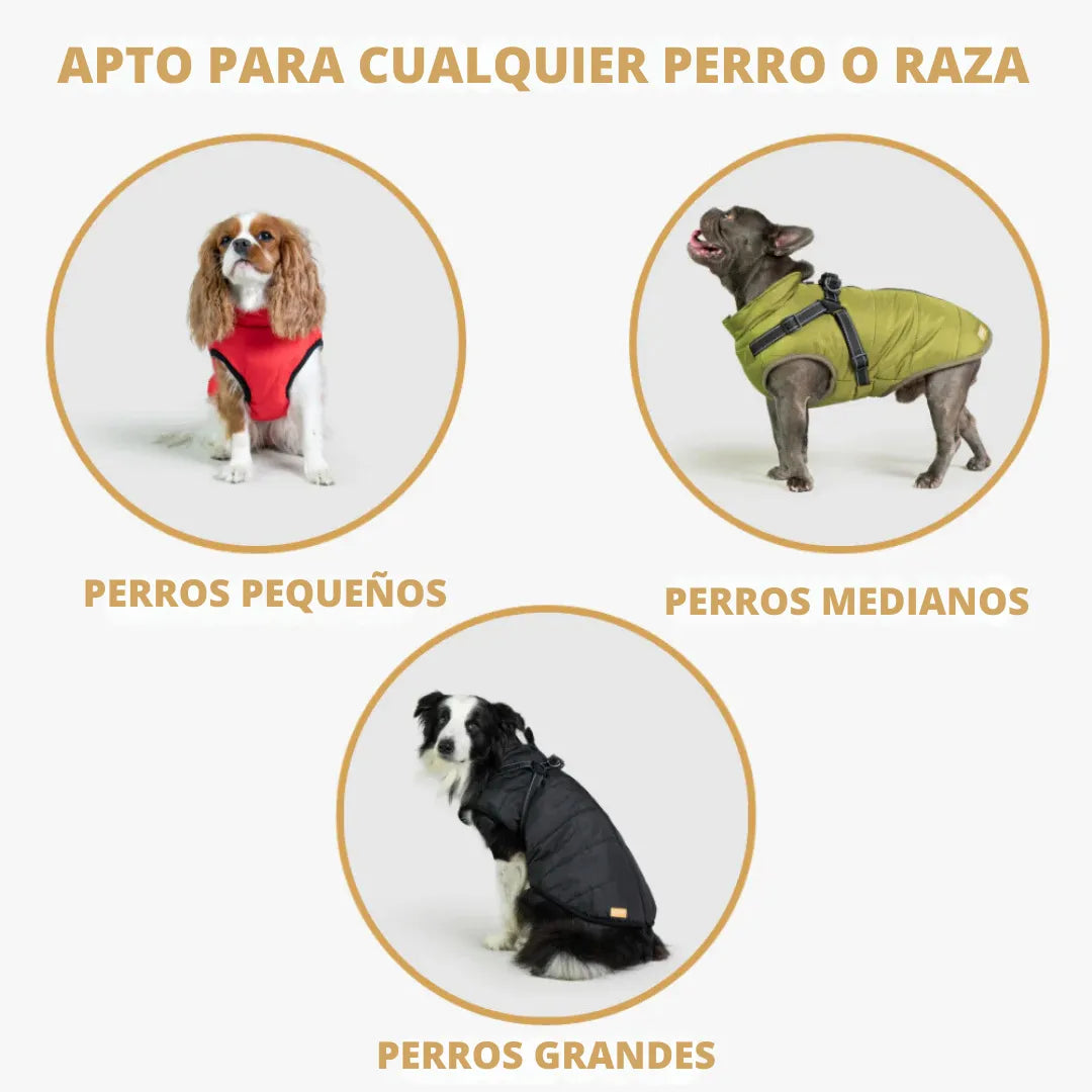 CHALECO PARA PERROS IMPERMEABLE