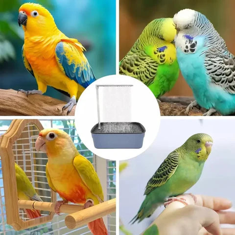 BAÑERA DE AVES: FRESCURA NATURAL EN CASA