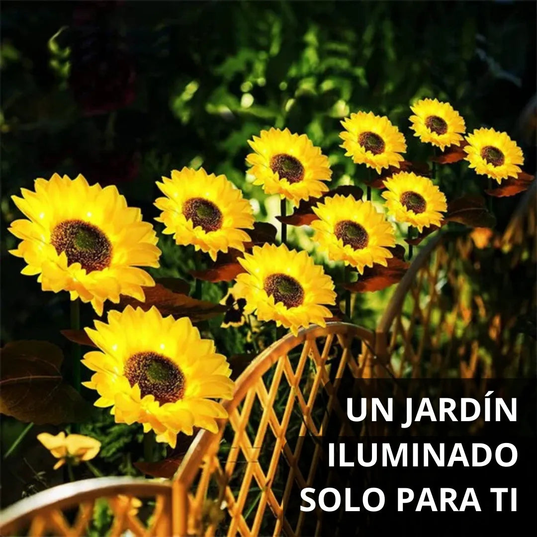 Girasoles - Faroles Solares de Jardín