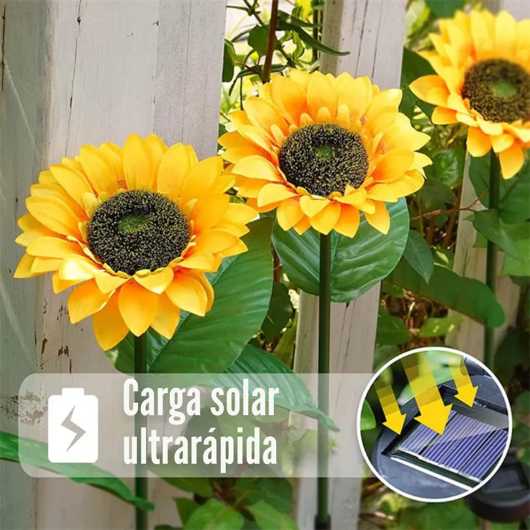 Girasoles - Faroles Solares de Jardín
