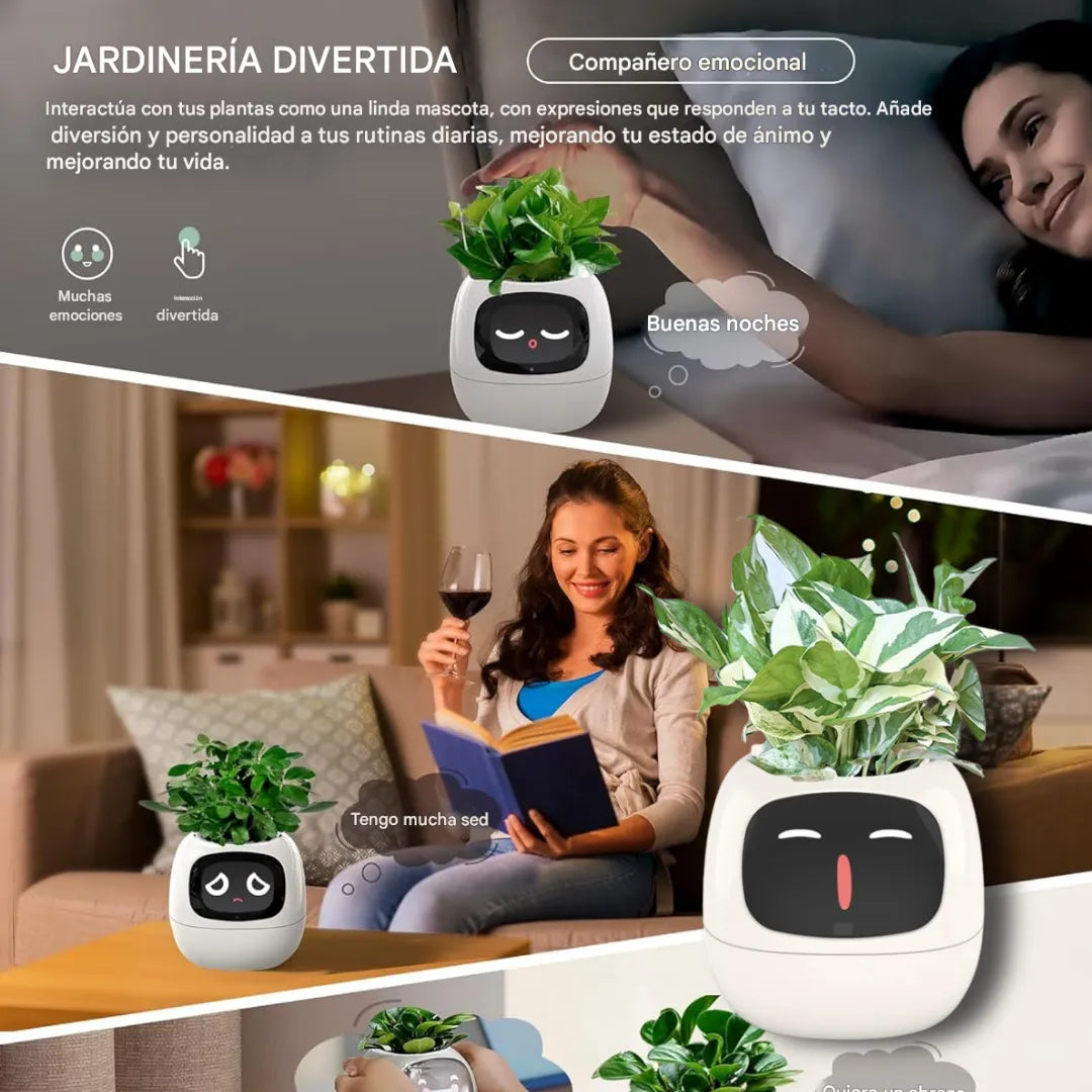 Maceta inteligente: Cuida al máximo tus platas