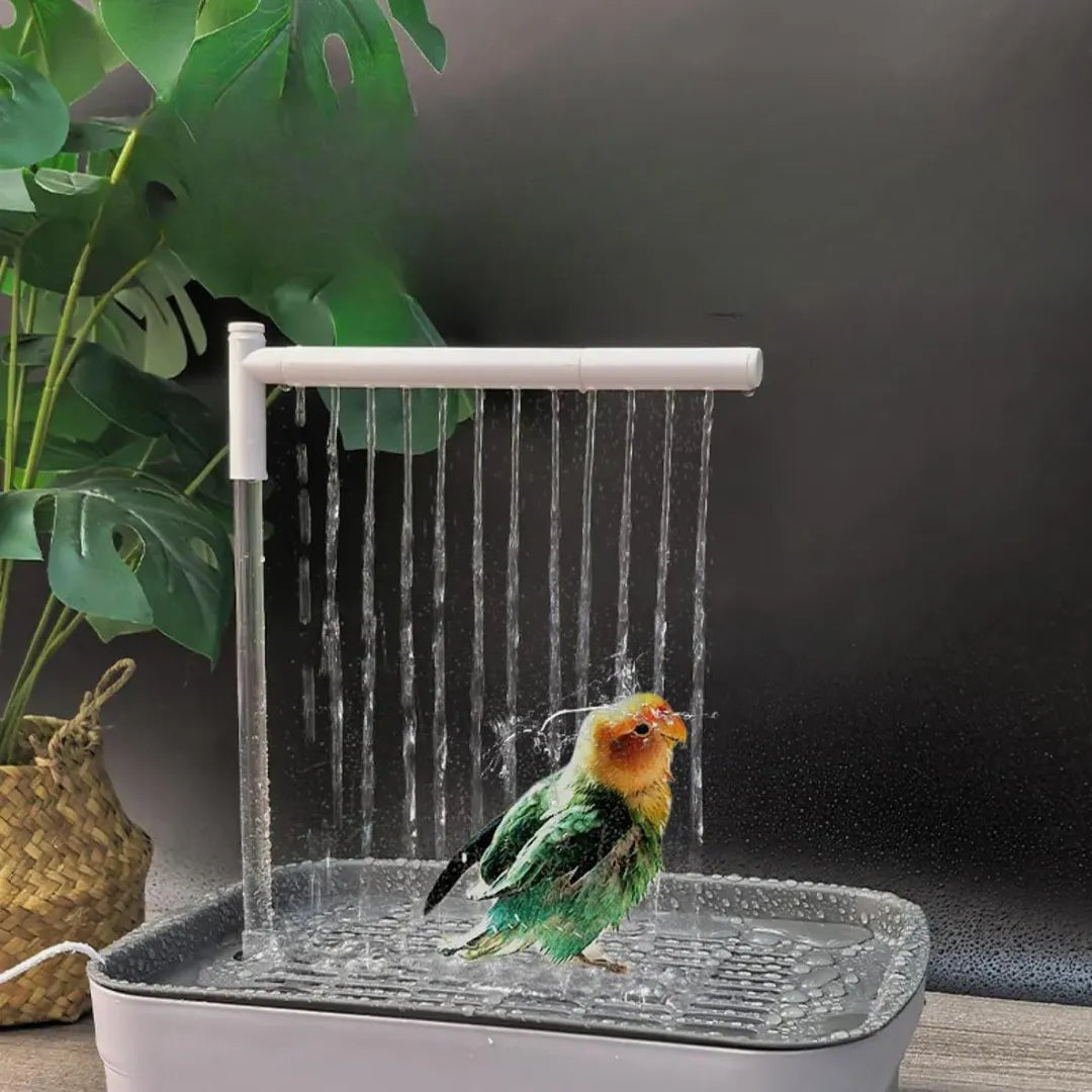 BAÑO AUTOMÁTICO PARA TU PÁJARO: SU MOMENTO FAVORITO DEL DÍA