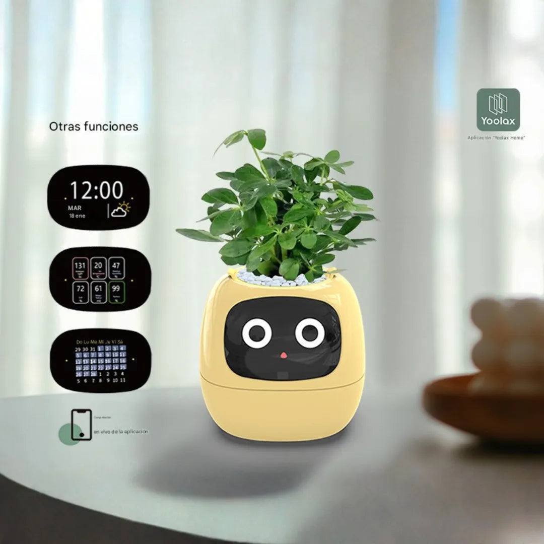 Maceta inteligente: Cuida al máximo tus platas