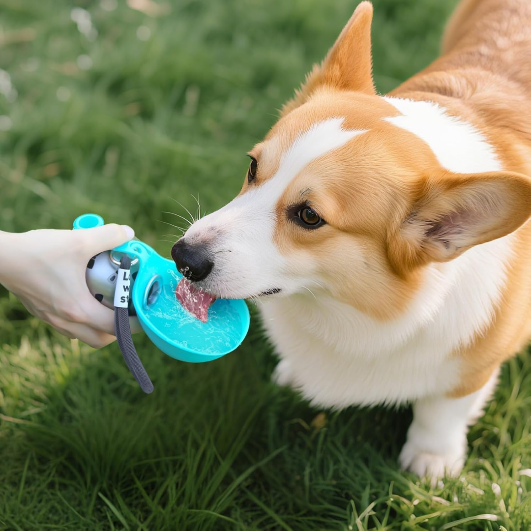 Cantimplora AquaPet Go - Tu mascota merece agua limpia