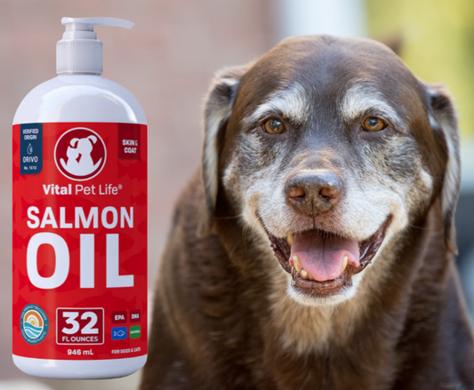 ACEITE DE SALMÓN PARA PERROS MAYORES