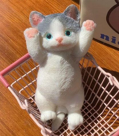 Gatito Anti estrés - Cat Lovers 😻