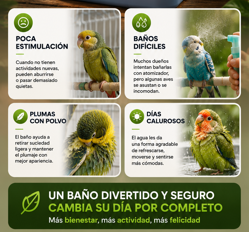 BAÑERA DE AVES: FRESCURA NATURAL EN CASA