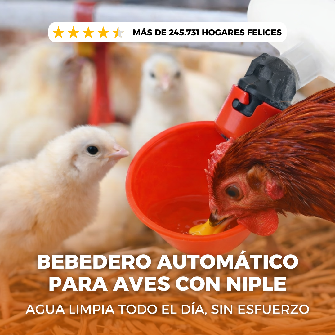 Agua Siempre Lista: Bebedero con niple para Aves